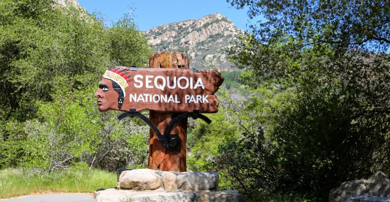 Sequóia National Park, California, USA